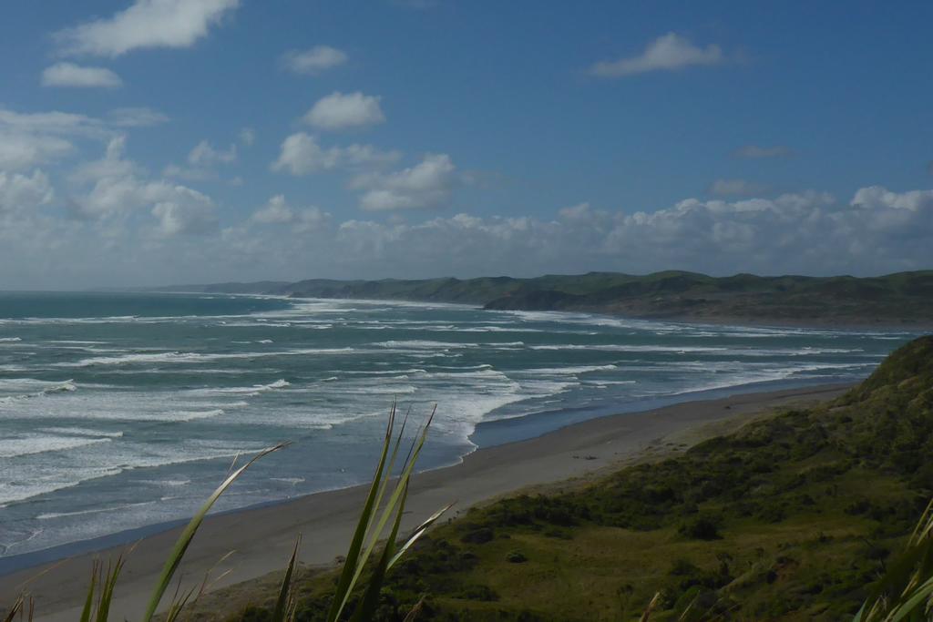 Ocean View Raglan Bed & Breakfast Bagian luar foto
