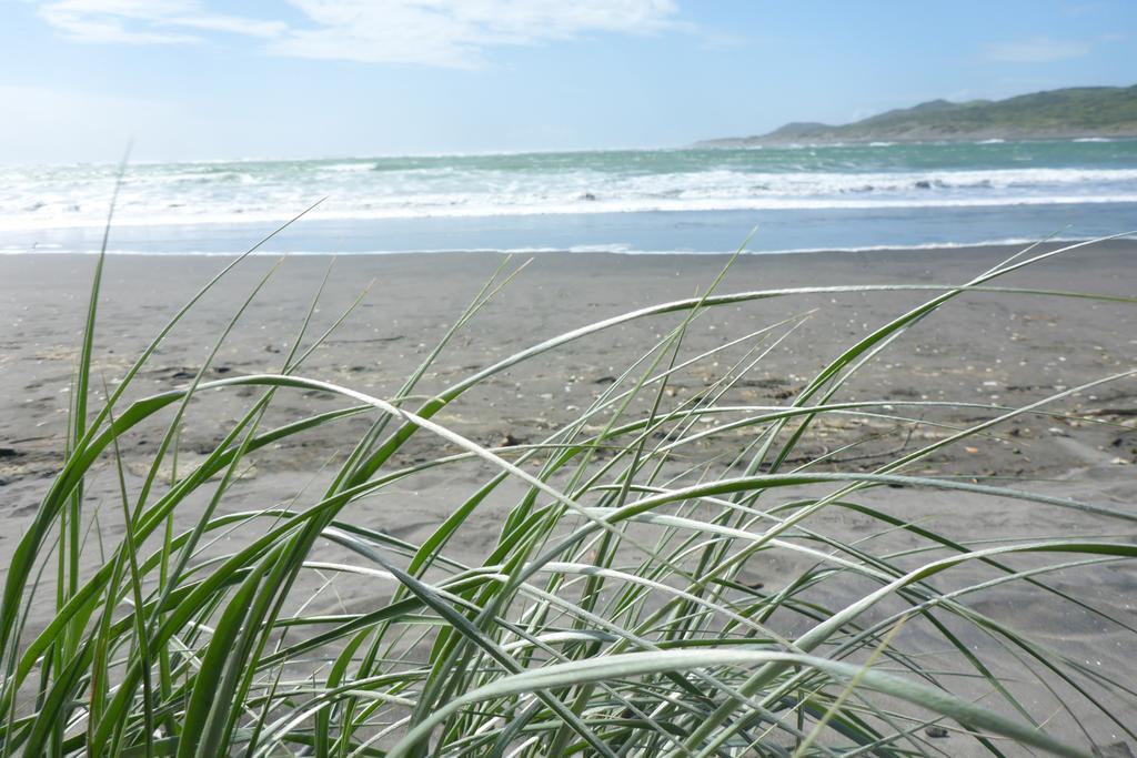 Ocean View Raglan Bed & Breakfast Bagian luar foto