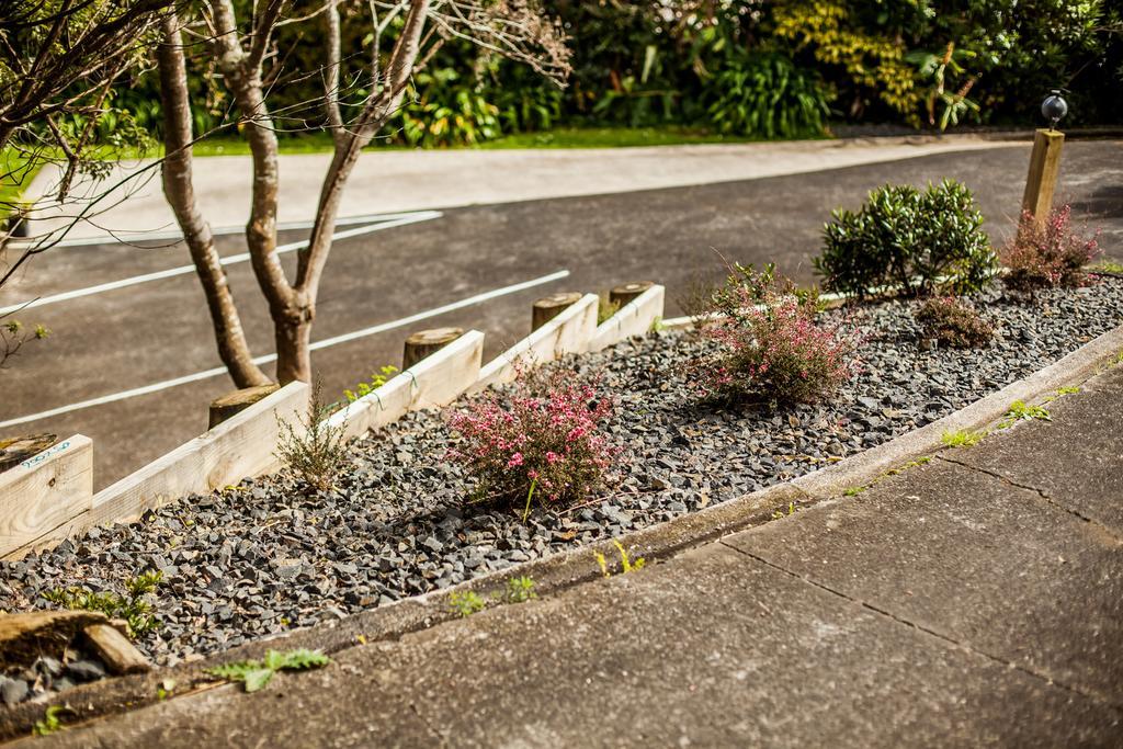 Ocean View Raglan Bed & Breakfast Bagian luar foto